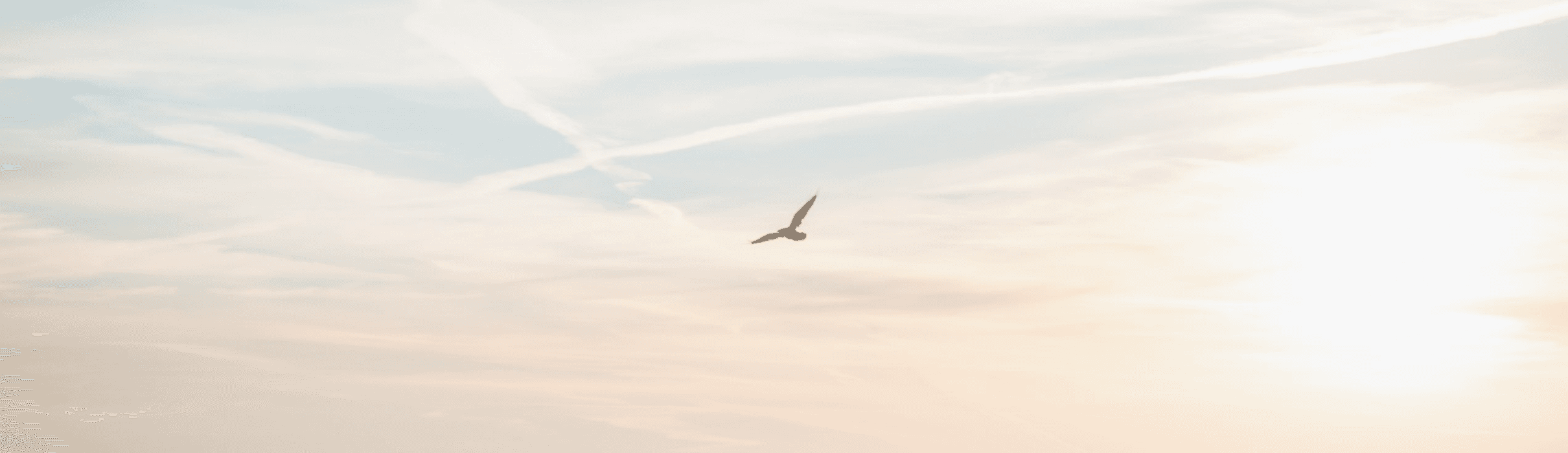 モデルハウス・OFFICE