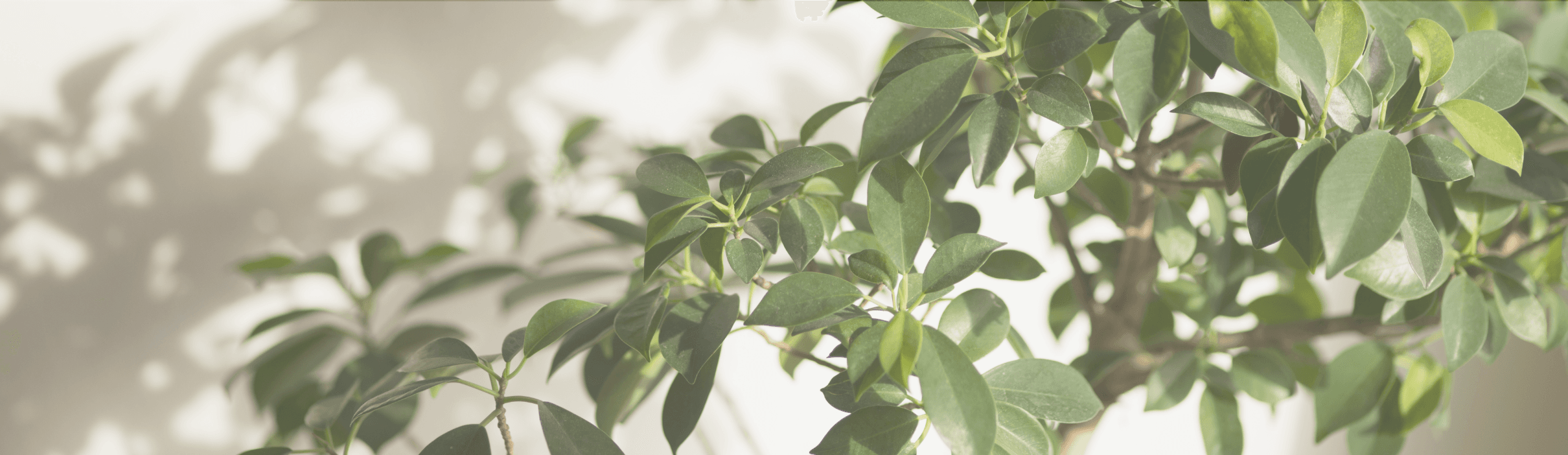 個人情報保護方針