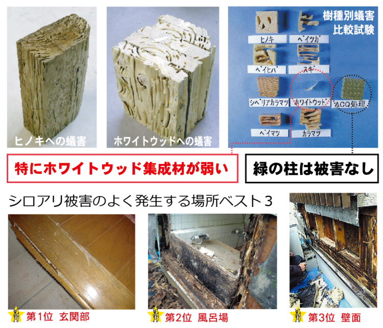 シロアリ被害のよく発生する場所